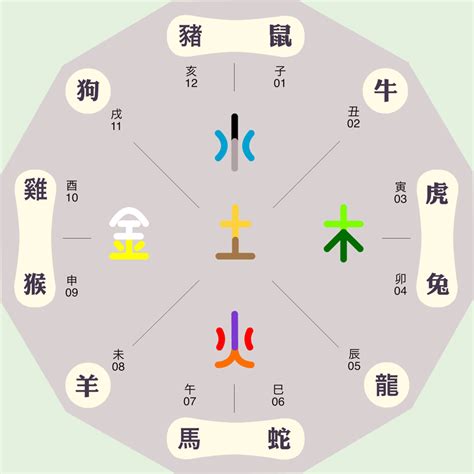 婷五行|婷字的五行属性